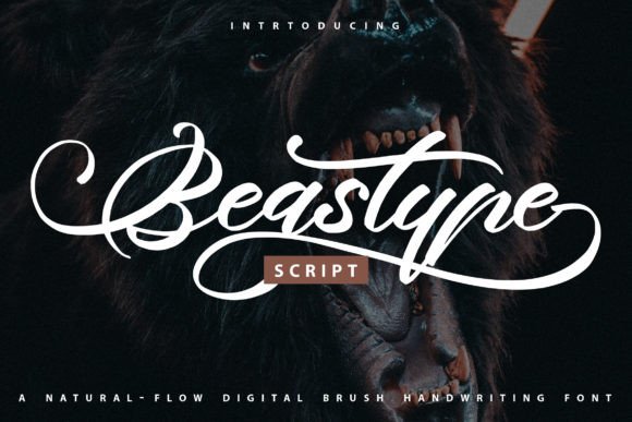 Beastype: A Luxurious Script Font for Business Branding