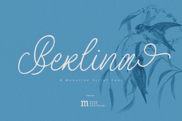 Berlina Font: Elevating Brand Visuals with Organic Script Style