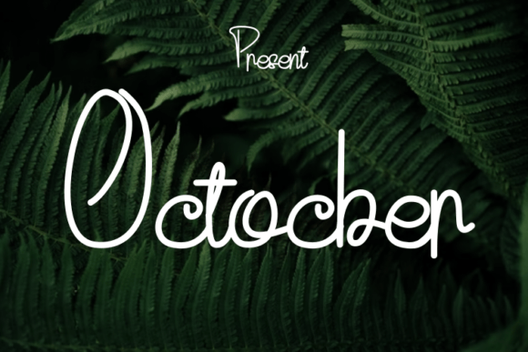 Octocber: A Modern Script Font for Elegant Design